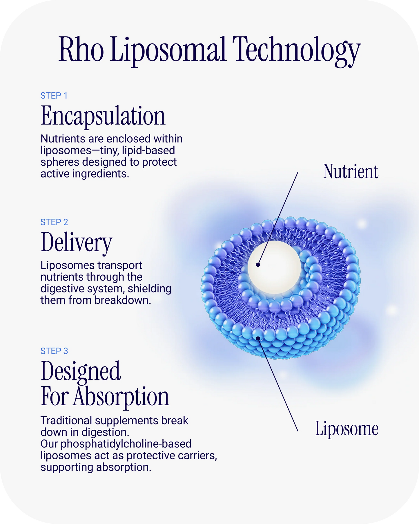 Liposomal Multi Peptide Daily